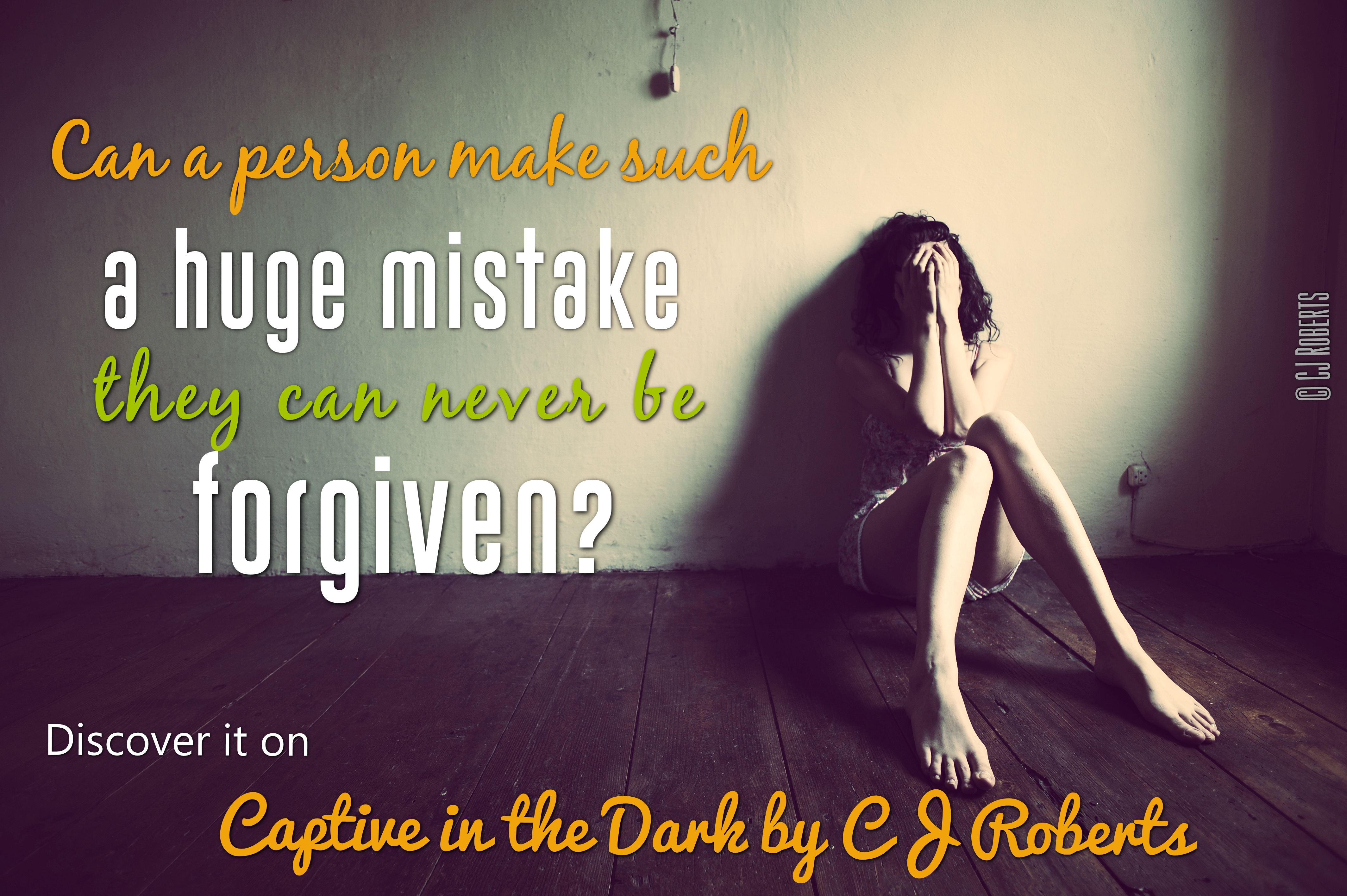 Captive in the Dark The Dark Duet Book 1 - Kindle